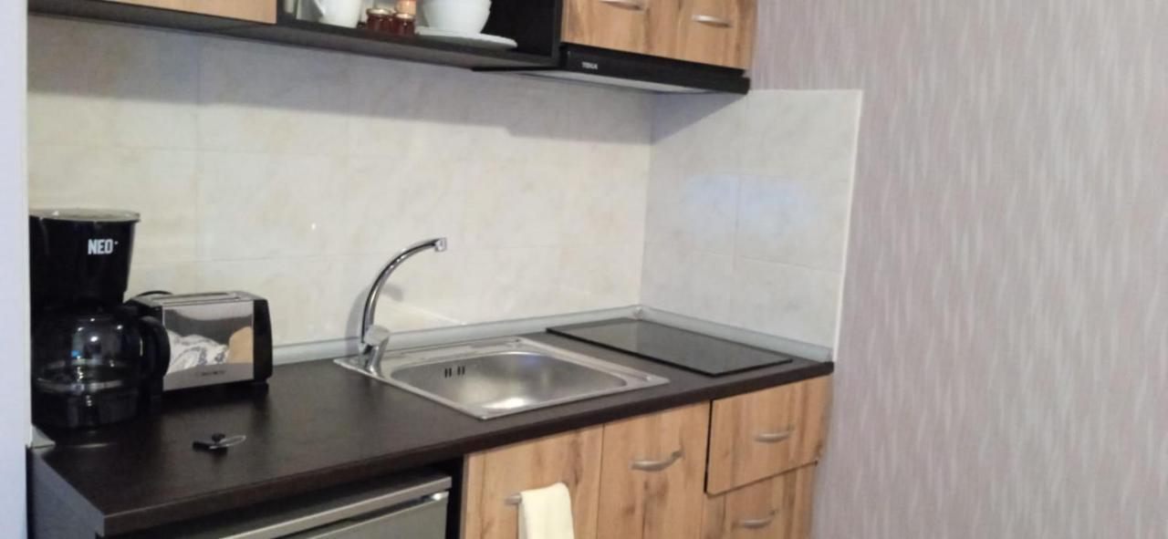 בנסקו Mechka Ski Apartment מראה חיצוני תמונה